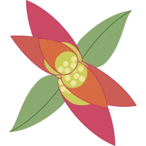 Café, productos de la tierra y fermentados